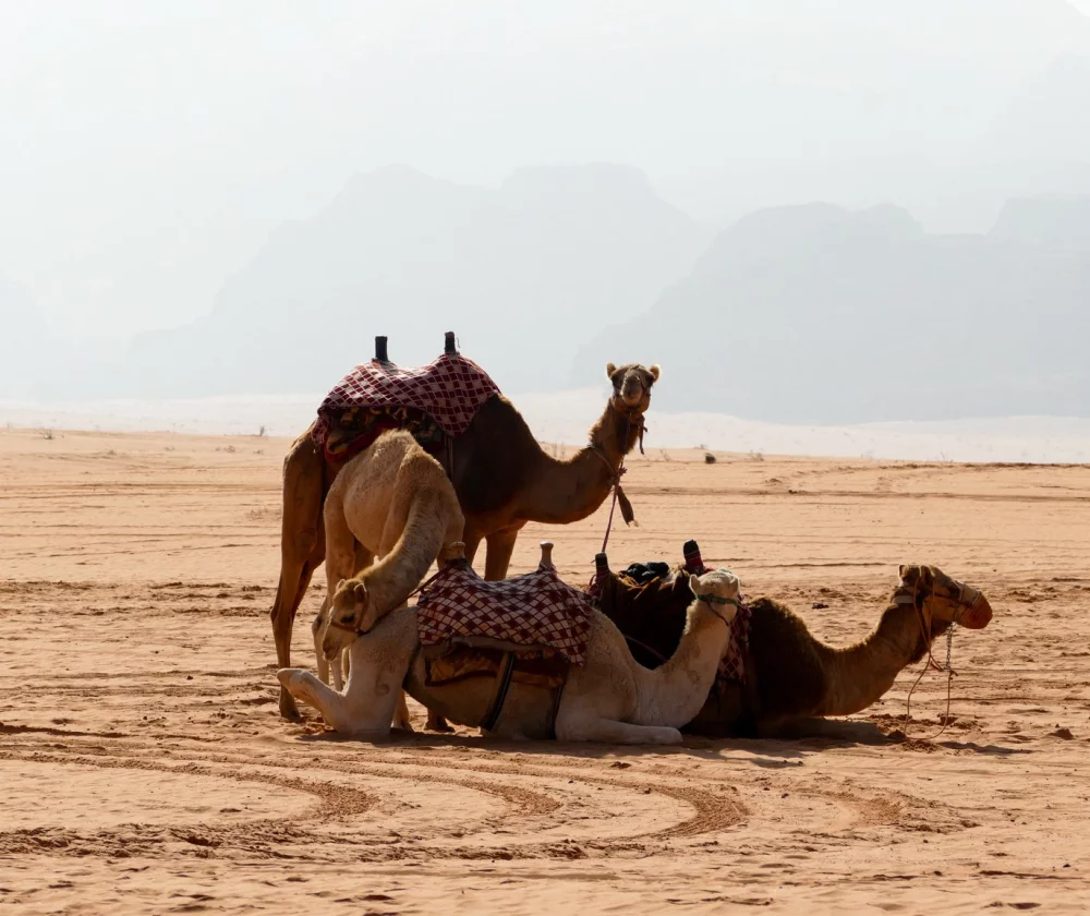 Rondreis Jordanië Footprint Travel