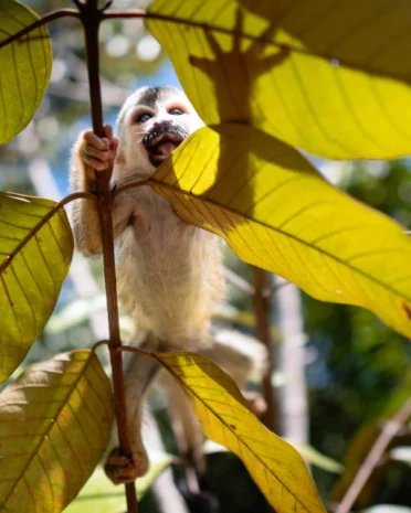 Praktische informatie Costa Rica