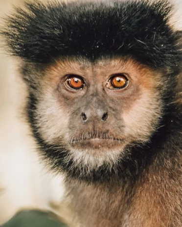 Argentinië, klimaat en beste reistijd