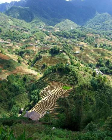 Rondreis door Vietnam vol cultuur, natuur & ervaringen