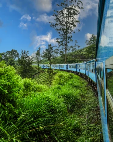 Treinreis van Kandy naar Nuwara Eliya