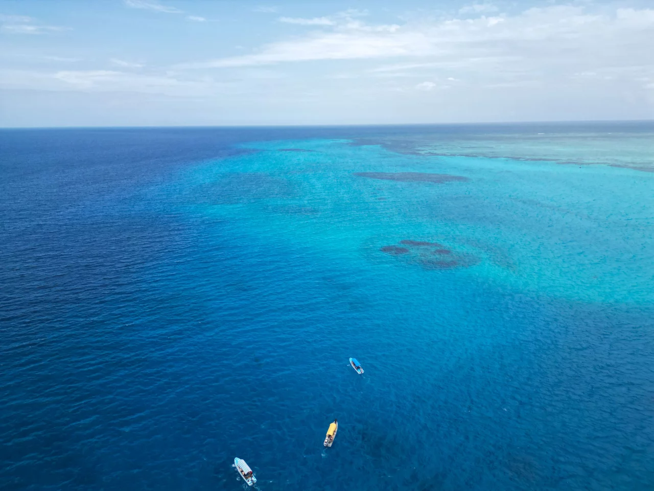 Boottocht Dolfijnen spotten Zanzibar - Reiskick
