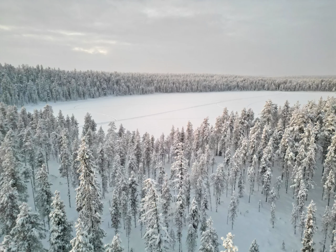 Kosten voor een reis naar Lapland - Reiskick
