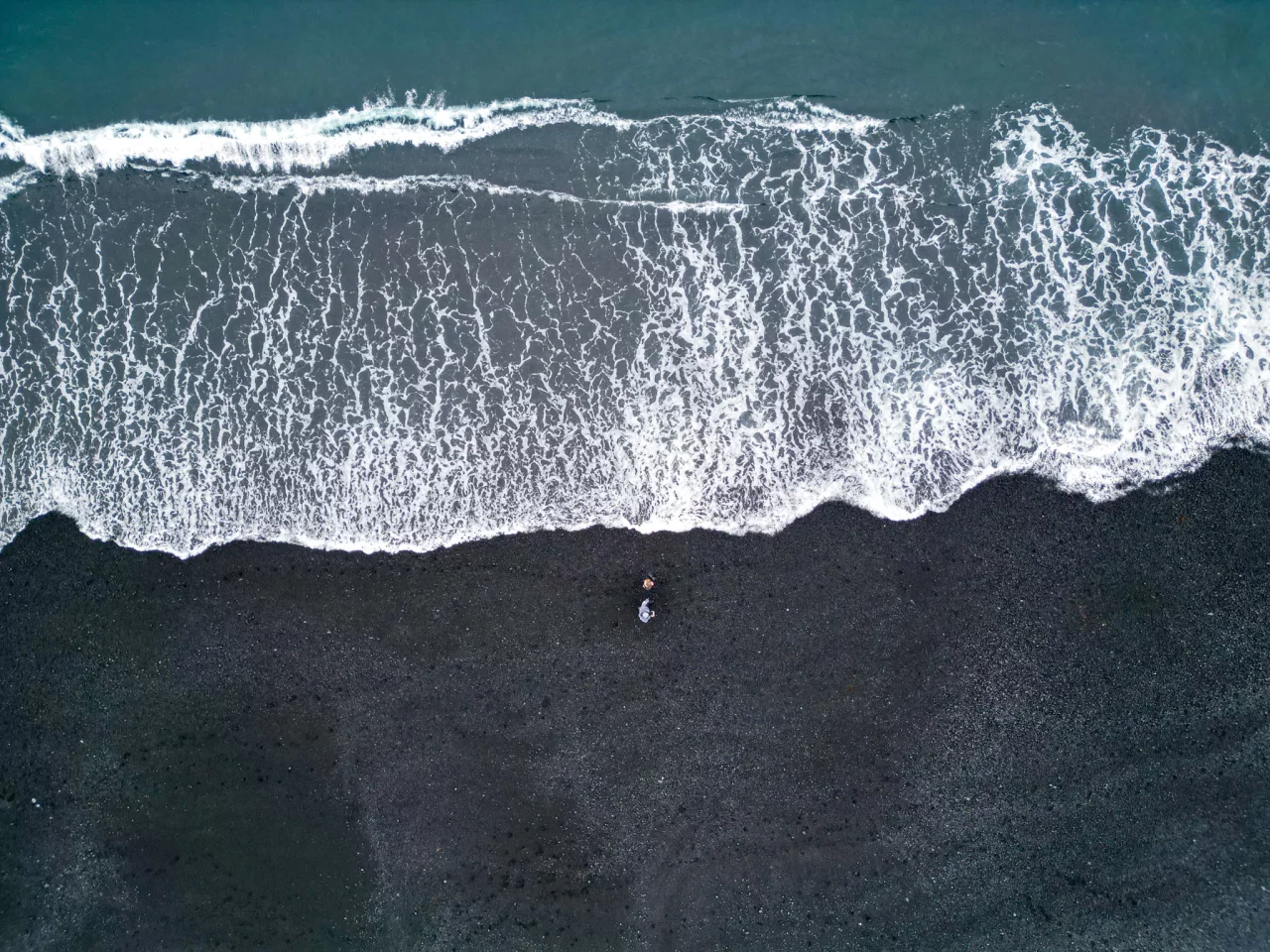 zeesterren zwart strand IJsland - Reiskick