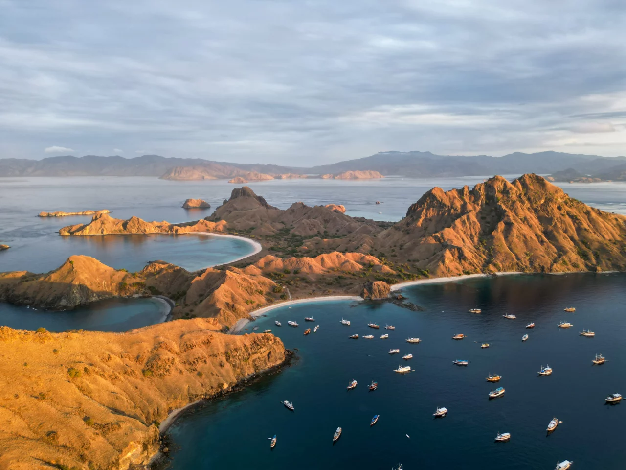 Informatie Komodo - Reiskick