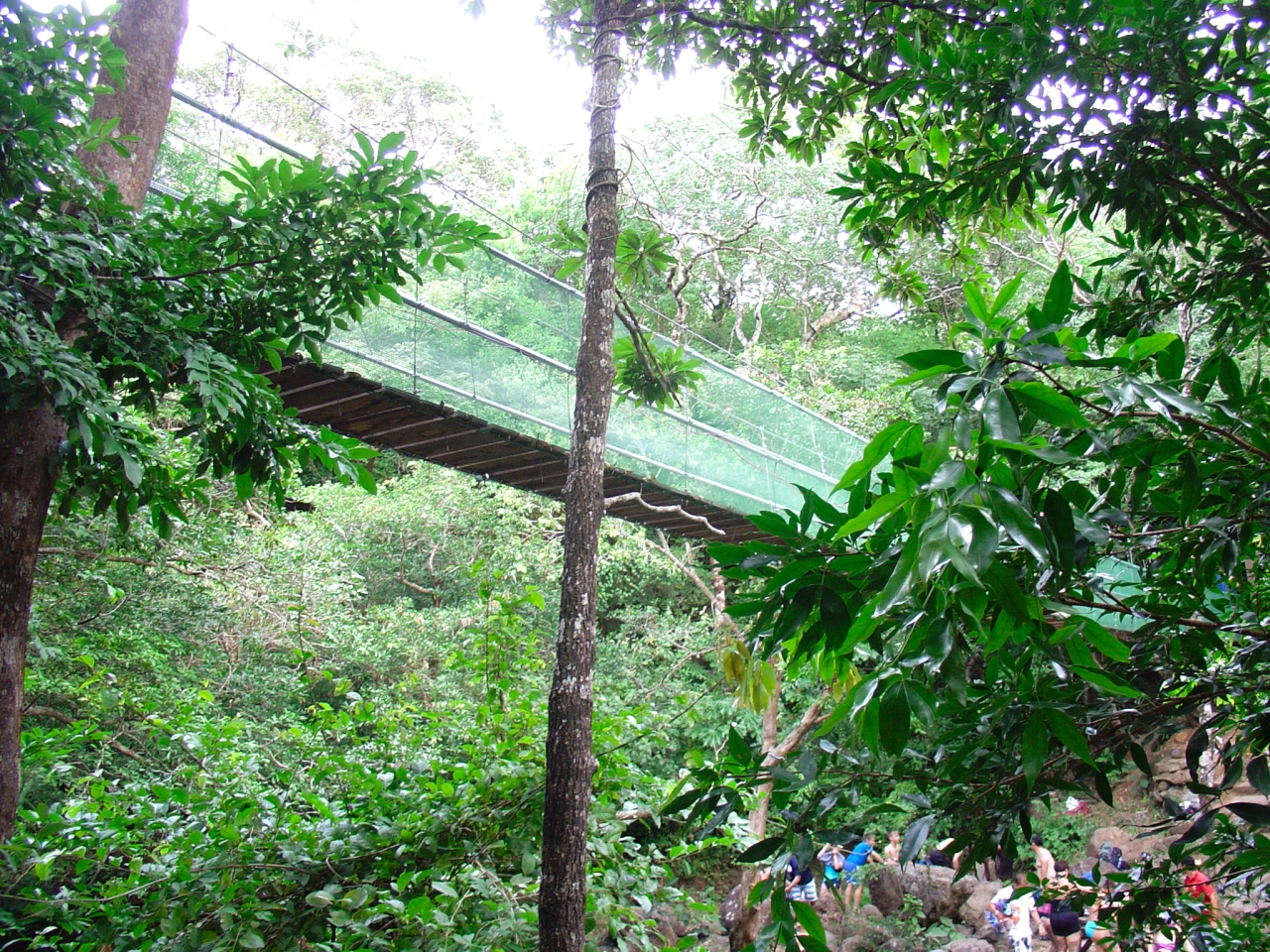 Hangbrug Costa Rica - Reiskick