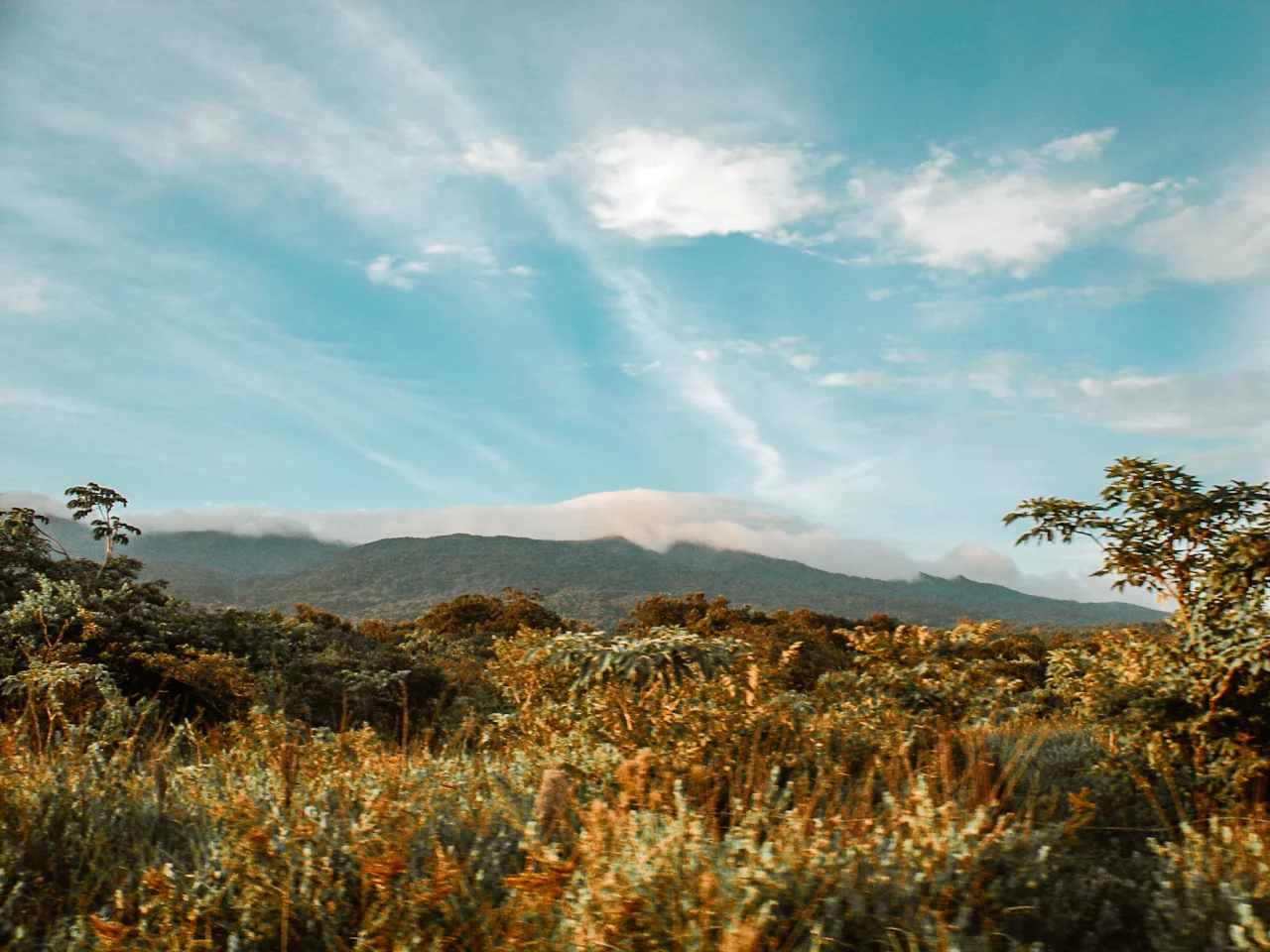 Activiteiten bij de Arenal vulkaan nationaal park Costa Rica - Reiskick