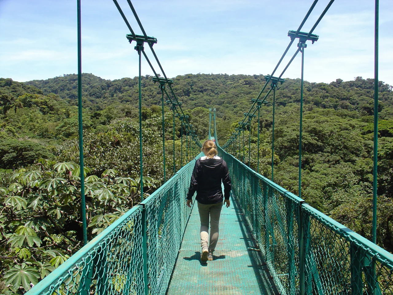 Canopy tour Monteverde - Reiskick