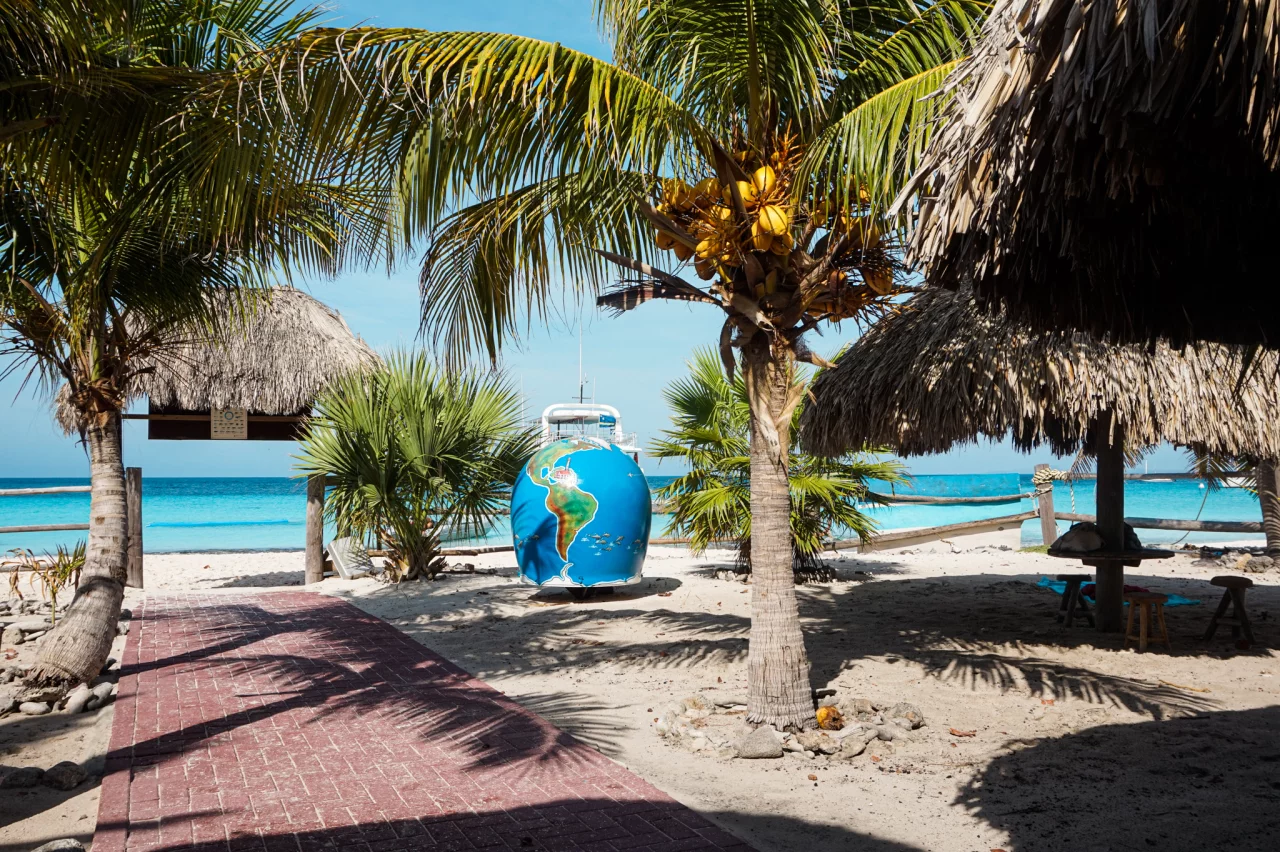 Klein curacao palmbomen op het strand