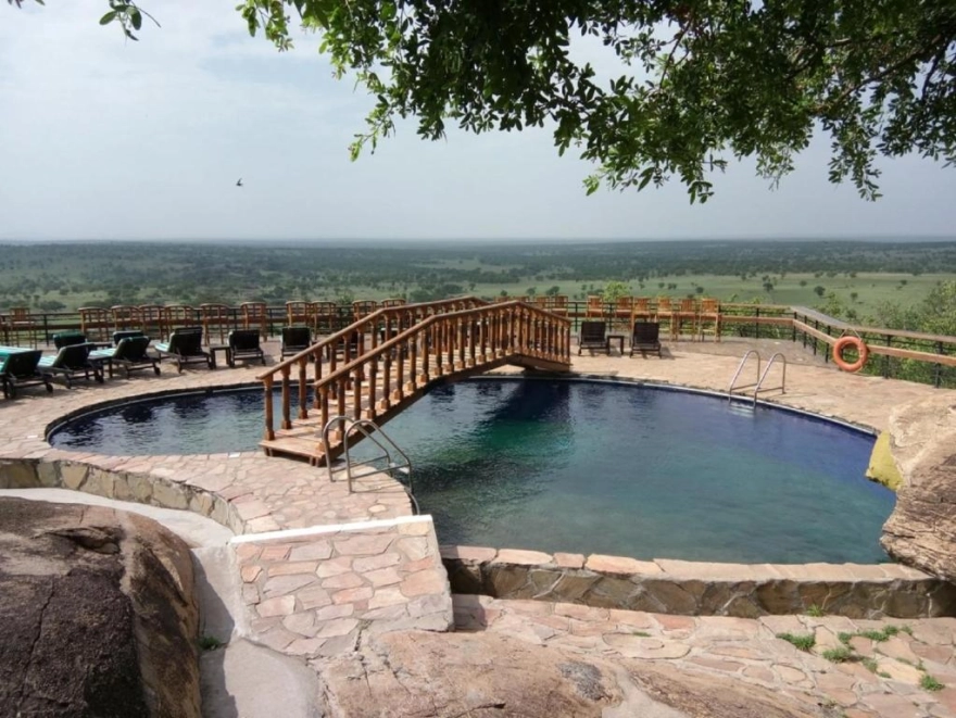 Lobo Wildlife Lodge 1