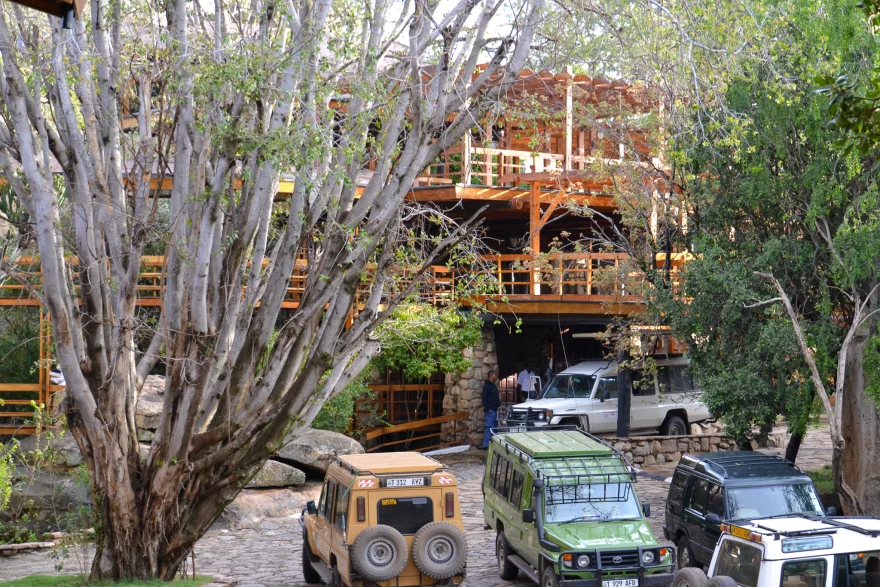 Lobo Wildlife Lodge - Serengeti Noord Reiskick (1)