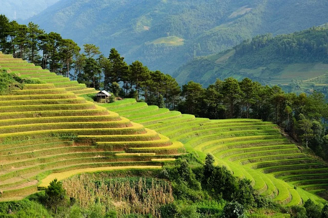 luongcung-vietnam-8400803_640