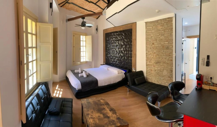 Luxury Apartments Chinitas 11 1