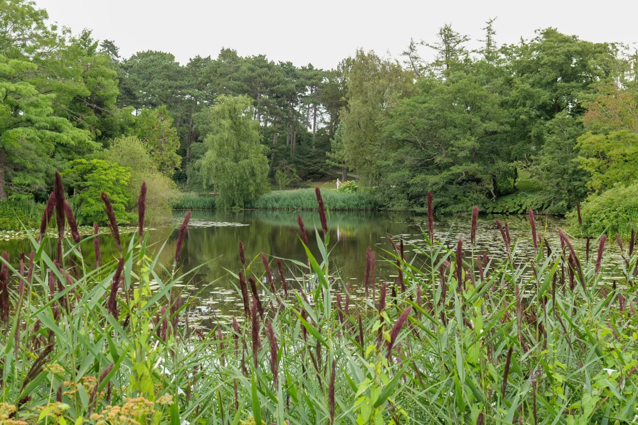 Botanische tuin en Palmenhuis Kopenhagen - Reiskick