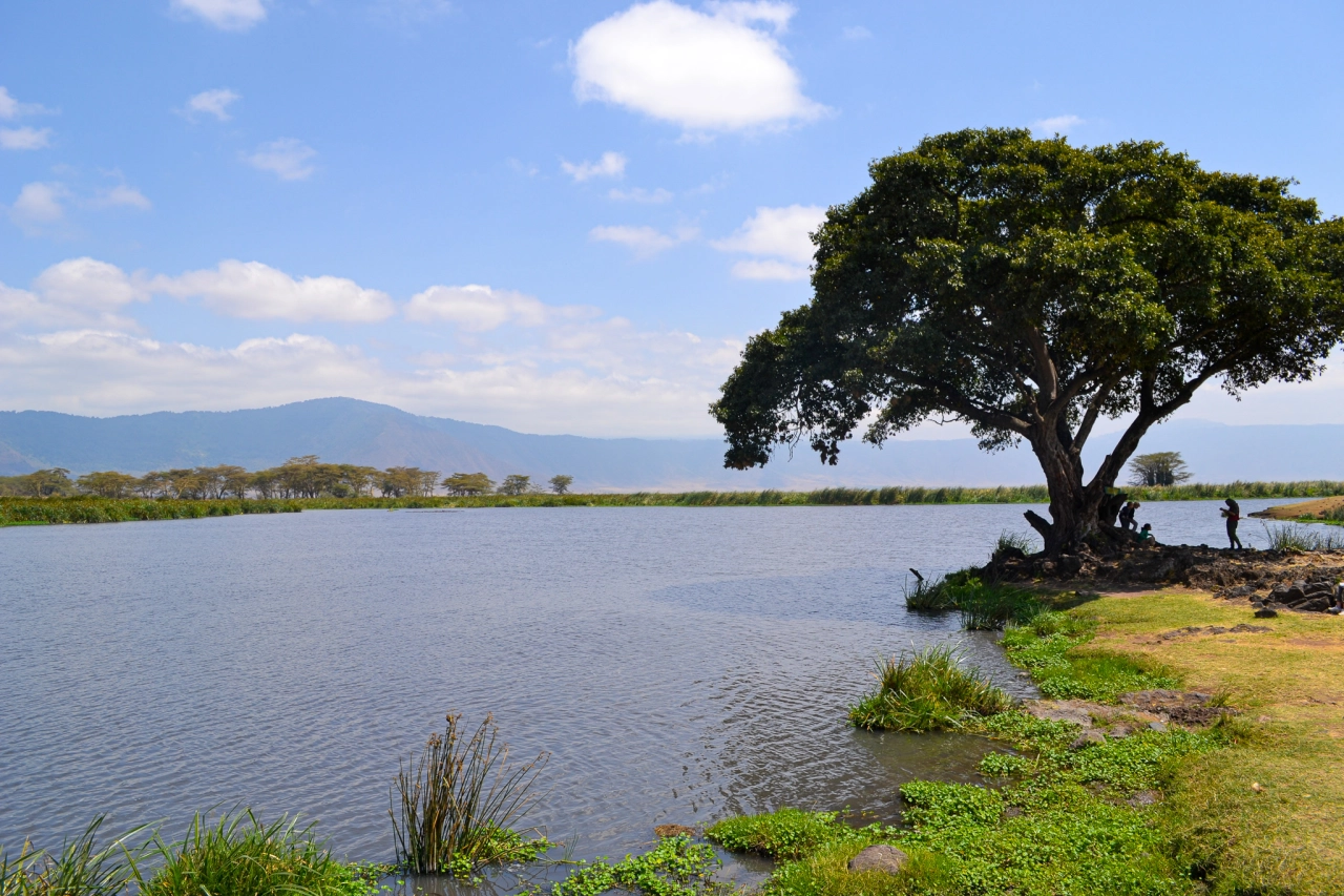 Natuur Ngorongoro krater - Reiskick