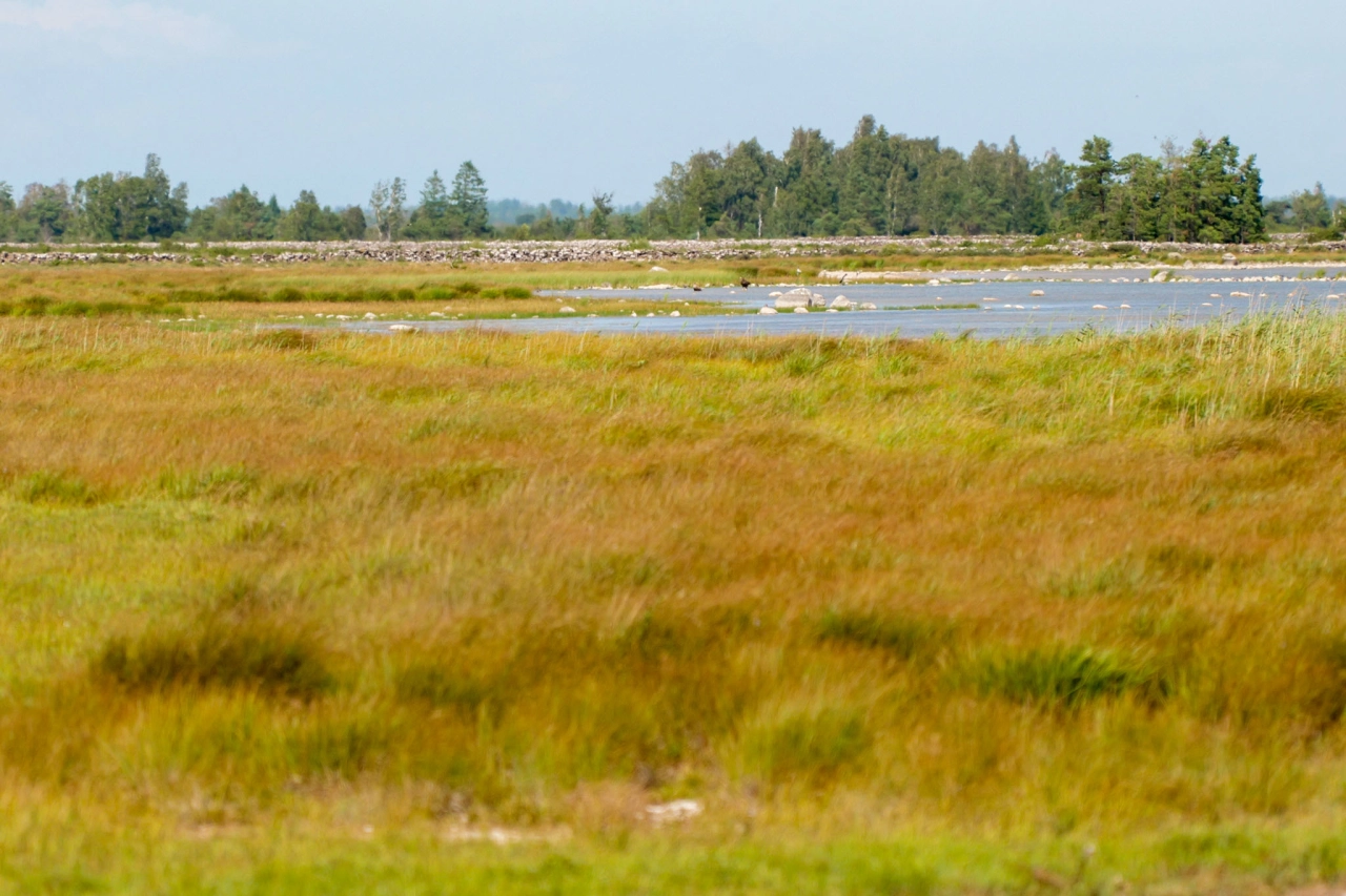 Mockelmossen Oland Zweden - Reiskick