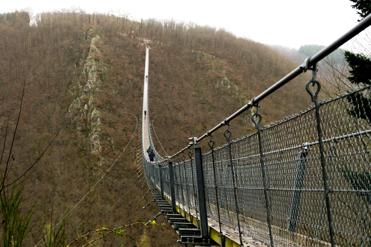 Grootste hangbrug Duitsland - Reiskick