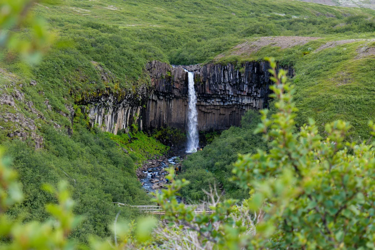 Svartifoss watervallen IJsland - Reiskick