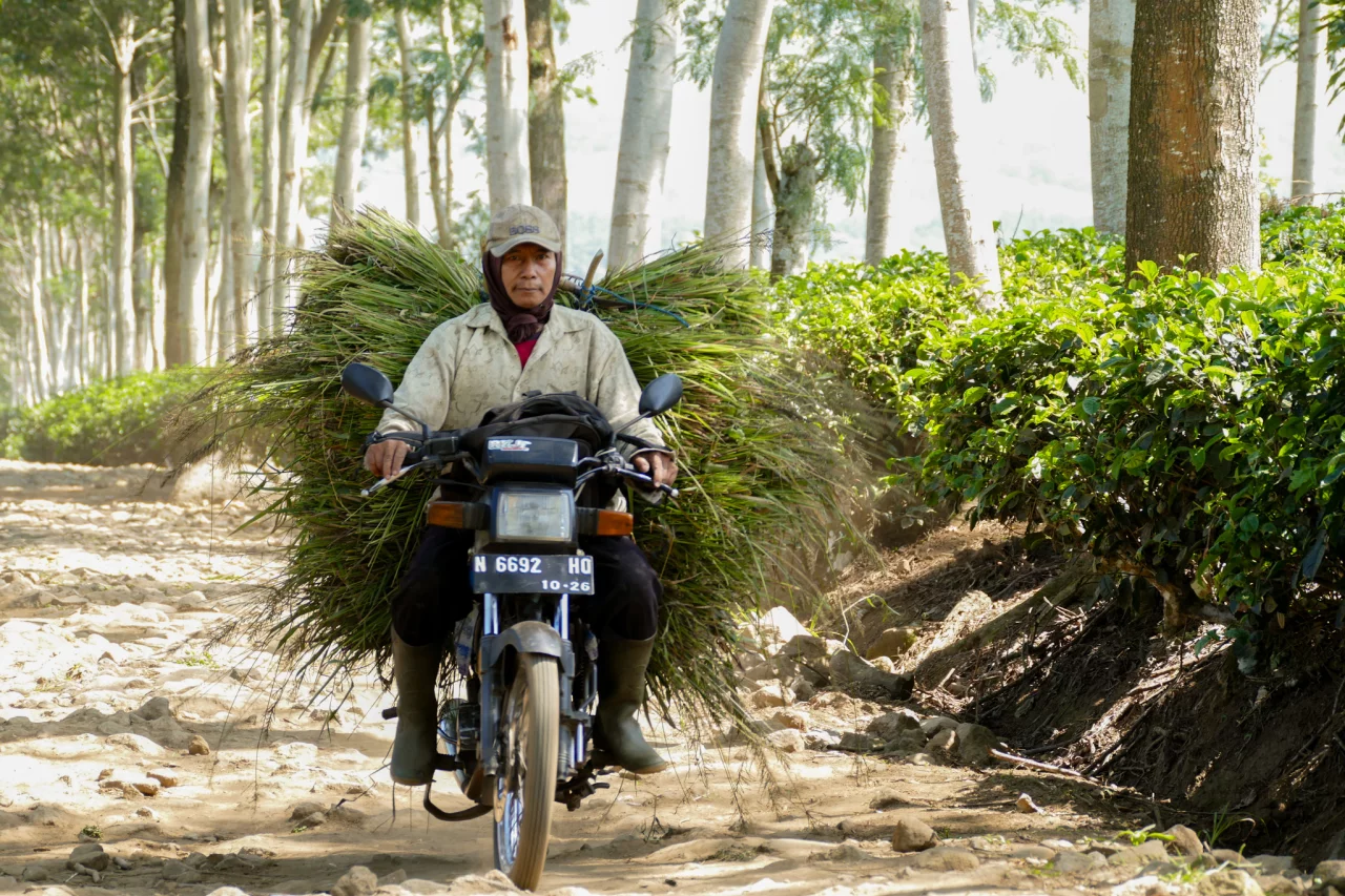 Hoe reizen door Indonesië - Reiskick