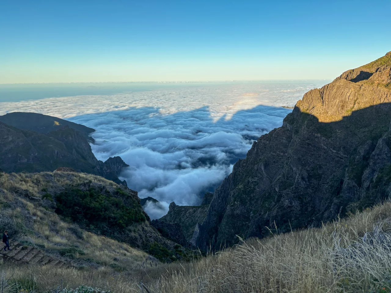 Madeira PR1 - Reiskick