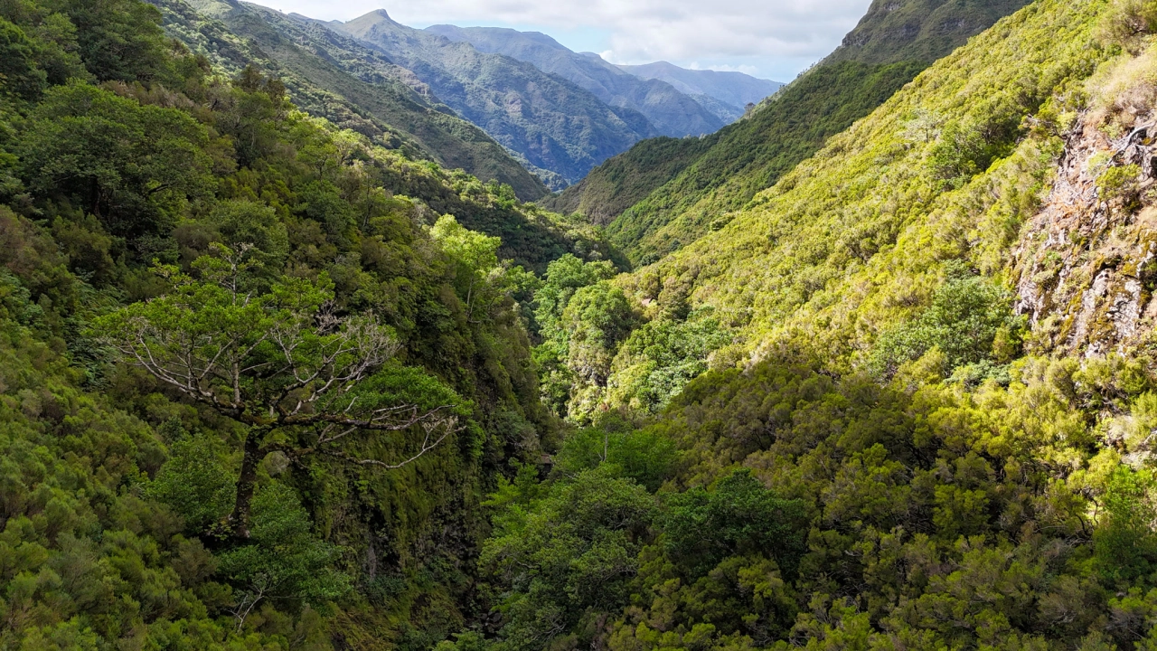 Levada das 25 Fontes wandelen op Madeira PR6 hike - Reiskick