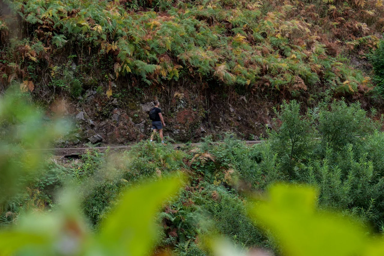 PR7 Levada Nova - Reiskick