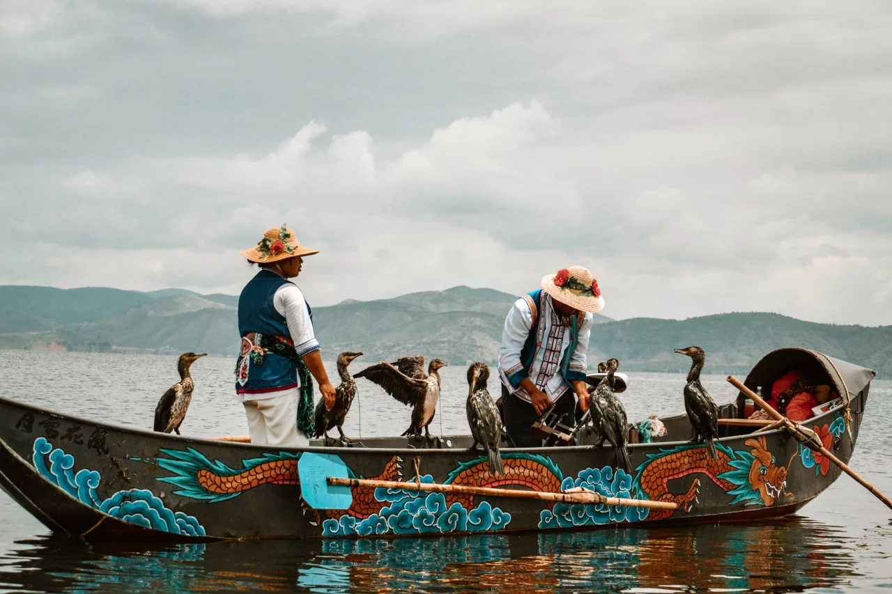 Traditioneel aalscholver vissen in Dali - Reiskick