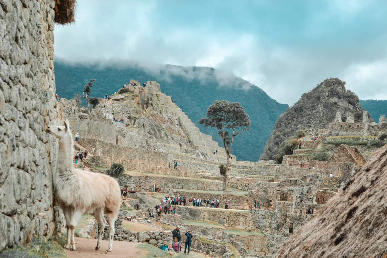 Plan je bezoek aan Machu Picchu optijd -REISKICK