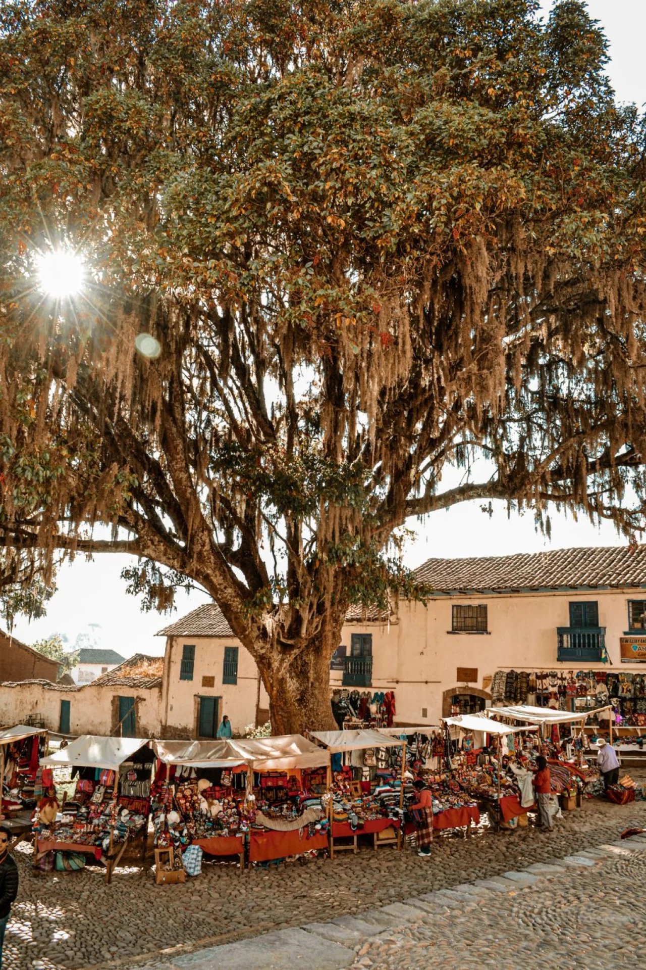 Reiskick omgeving Puno