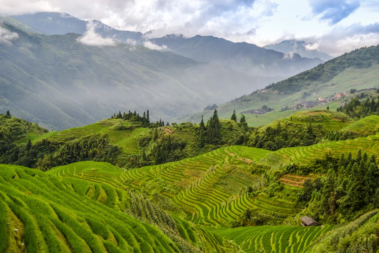 Lokale specialiteit is een aanrader in Ping'an - Reiskick