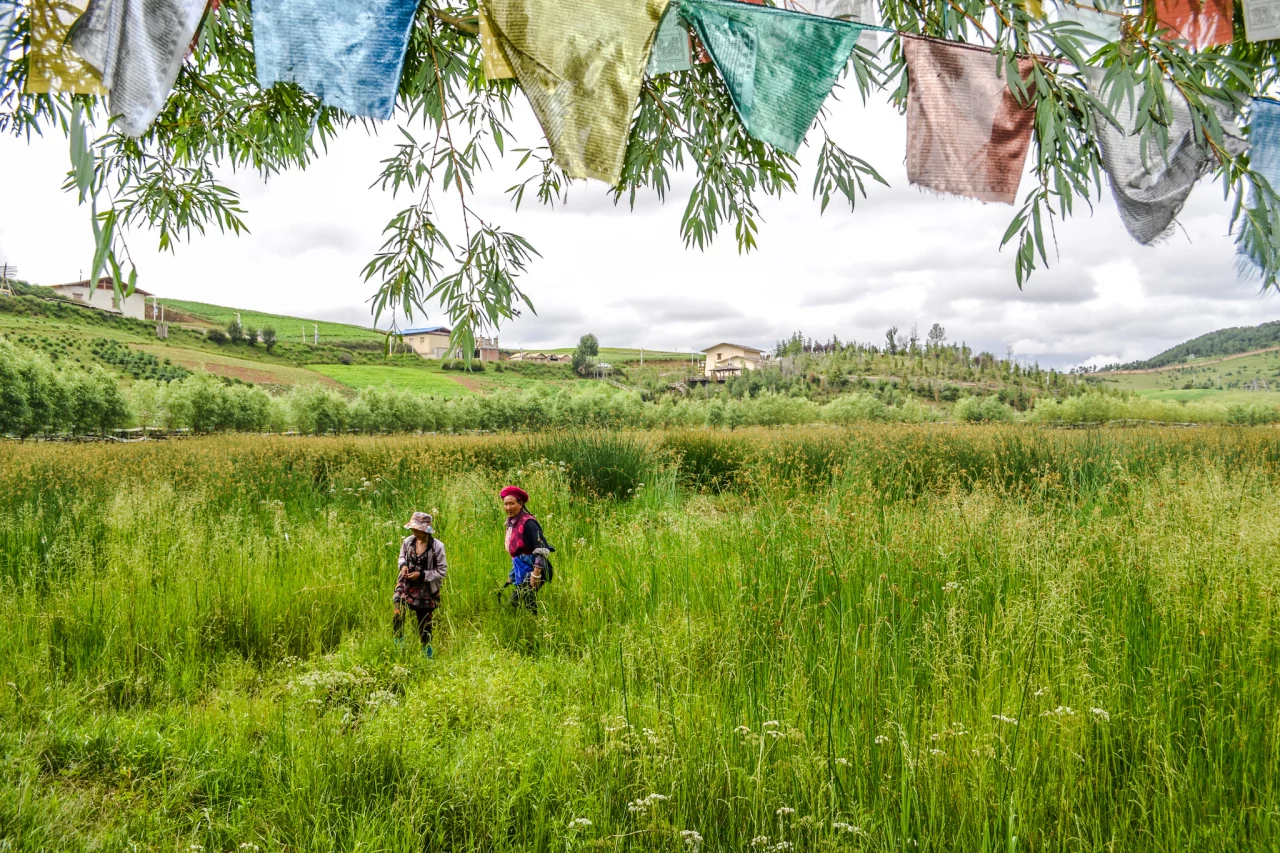 Hoogte ziekte voorkomen - Reiskick 