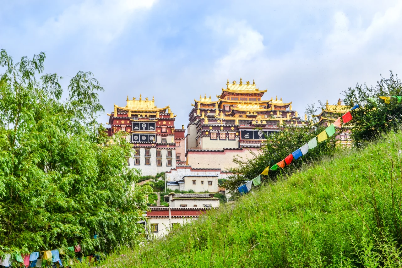 Reiskick - hoogte ziekte wat is het? 