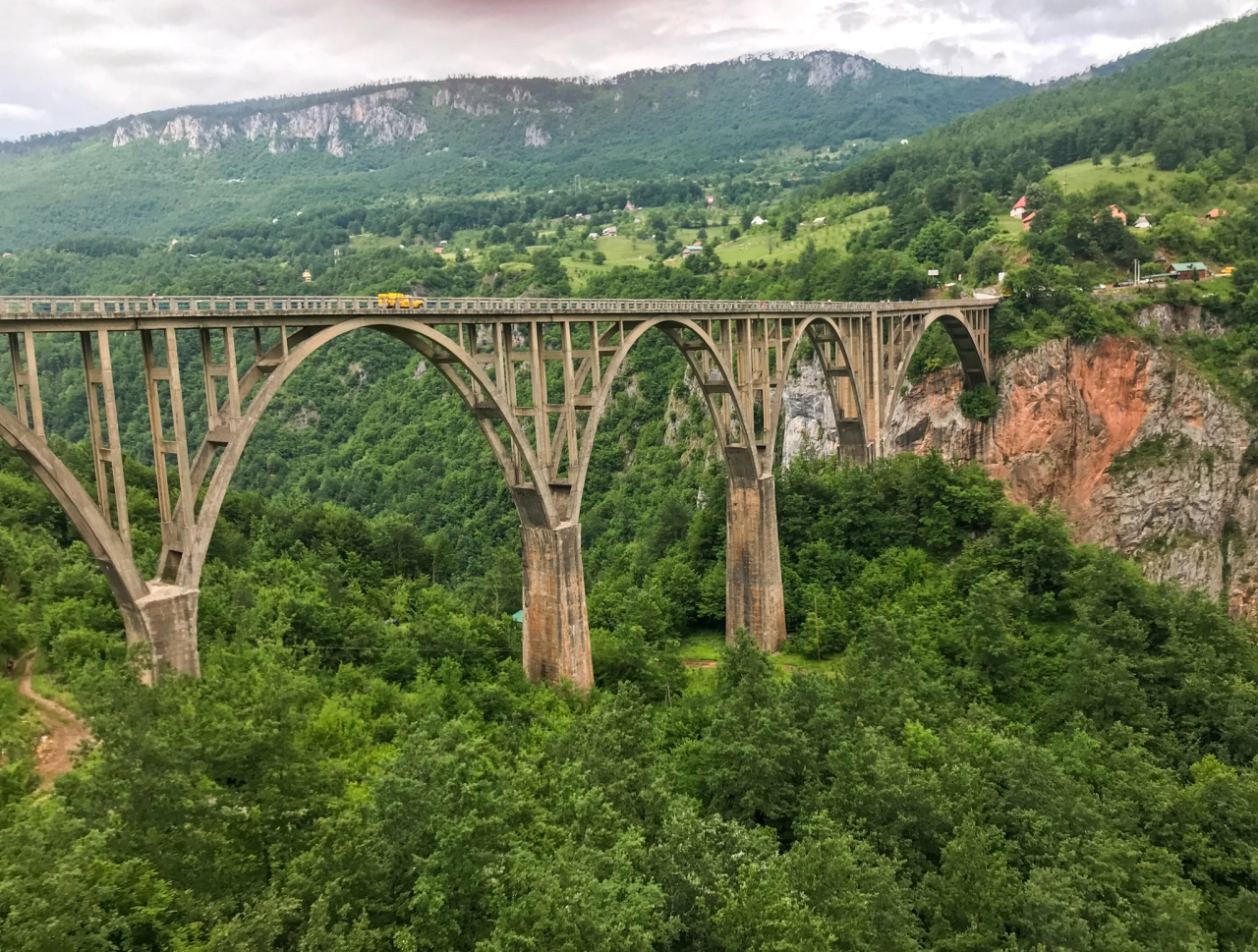 Tara Bridge - Reiskick
