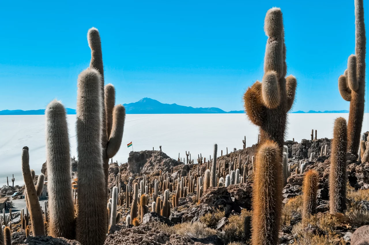 Salar de Uyuni, Bolivia - Reiskick