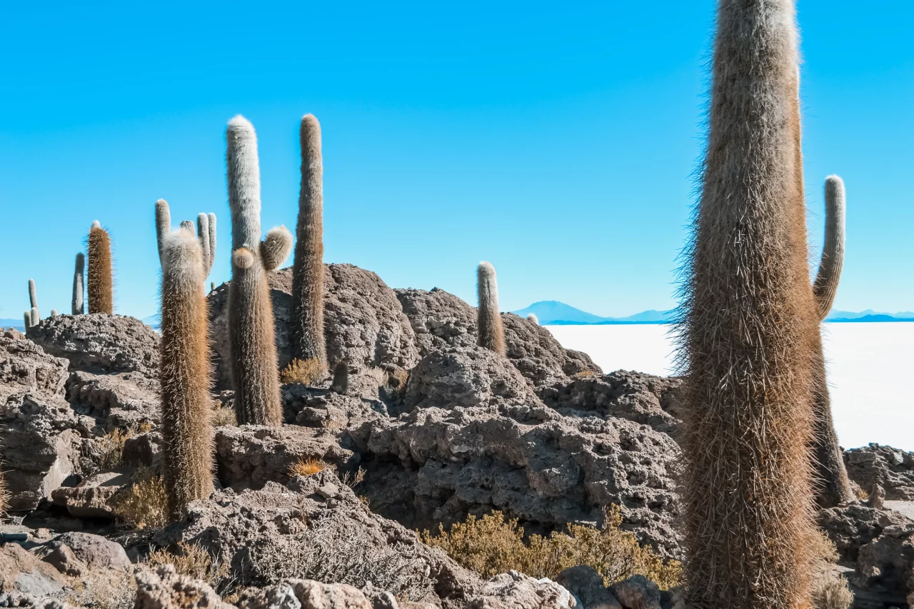 Salar de Uyuni, Bolivia - Reiskick