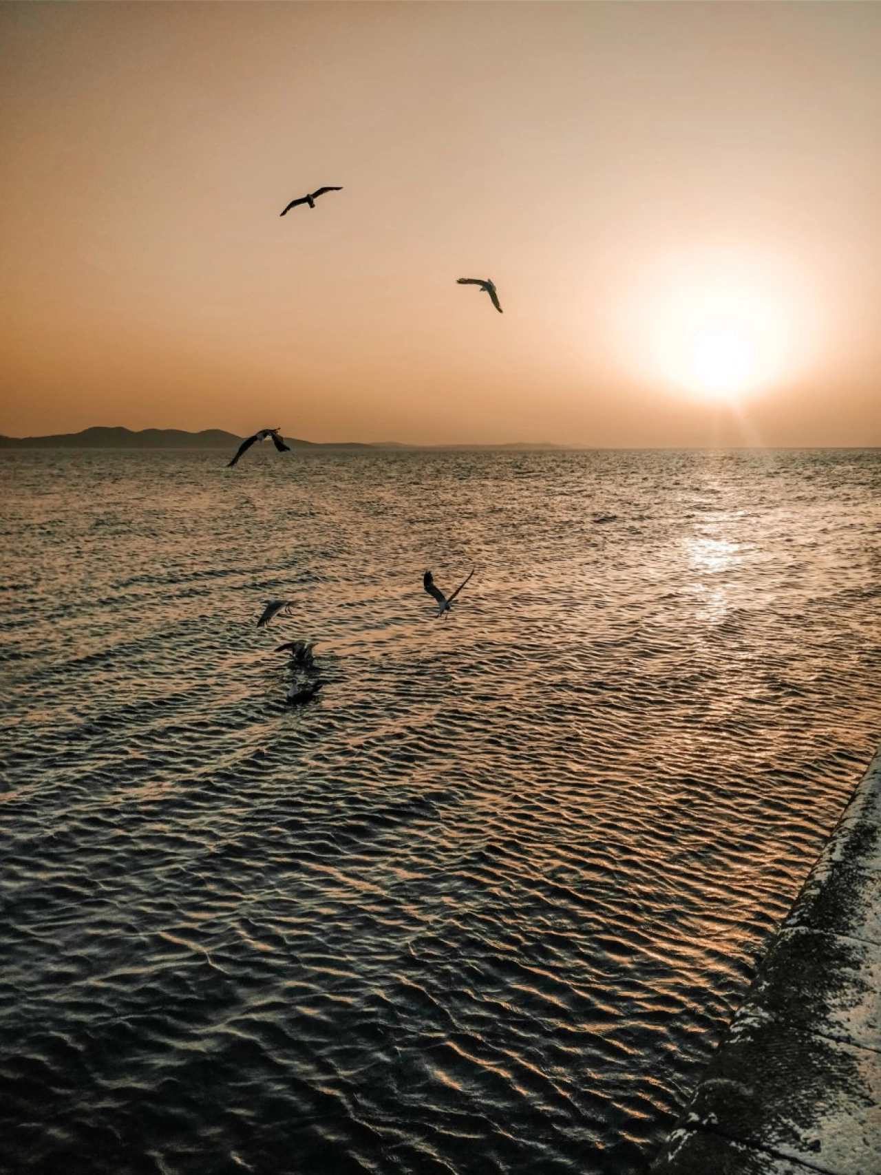 De mooiste zonsondergang in Zadar - Reiskick