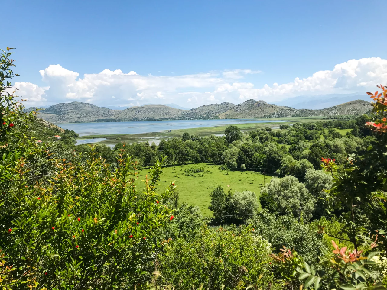 Groot nationaal park Lake Skadar in Rijeka Crnojevića - Reiskick