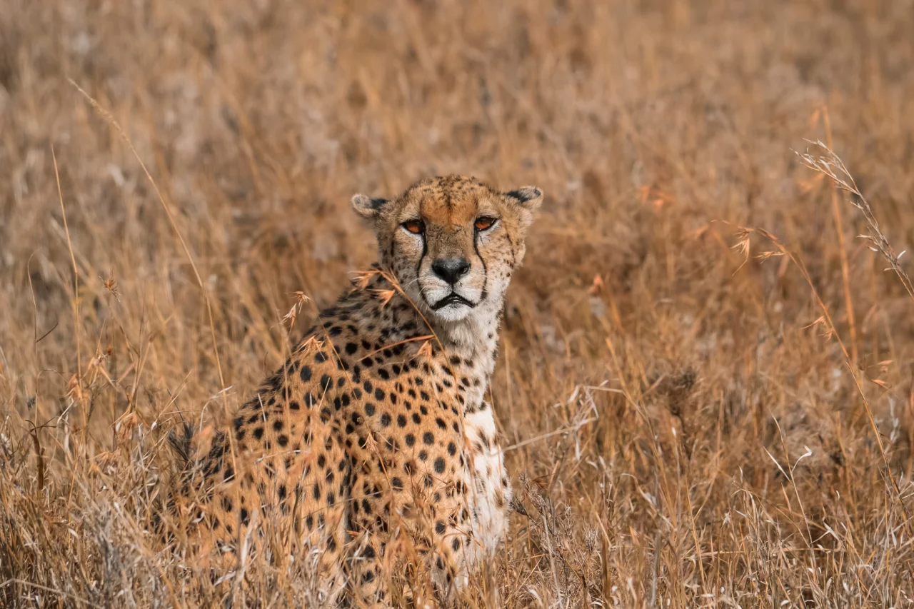 Veilig gebruik maken van WiFi-hotspots op reis - Reiskick