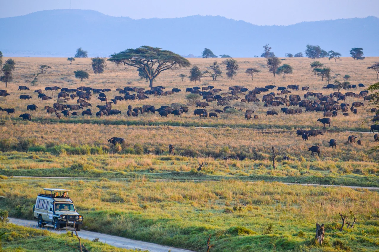 serengeti vanuit luchtballon - Reiskick-2