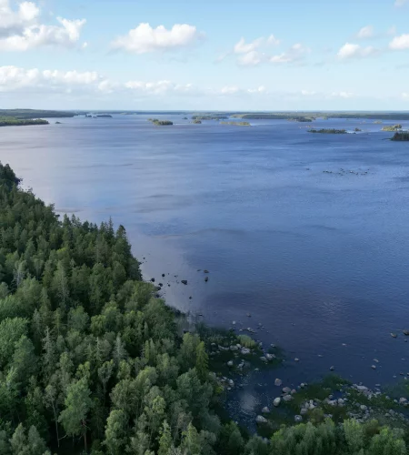 Nordic Woods Zweden - Reiskick