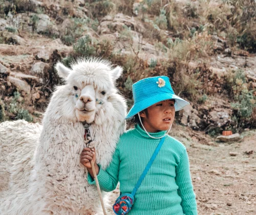 De ultieme rondreis door Zuid-Amerika - Reiskick