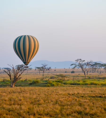 Ultieme safari door Tanzania - serengeti luchtbalon Reiskick