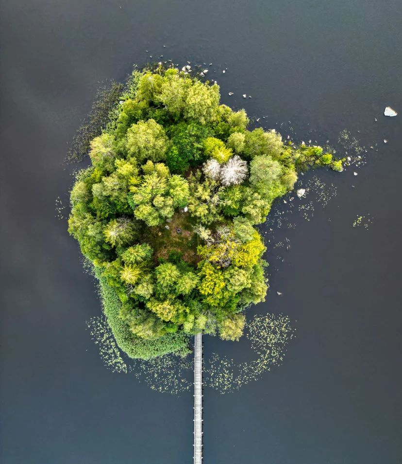 Nordic Woods Zweden - Reiskick