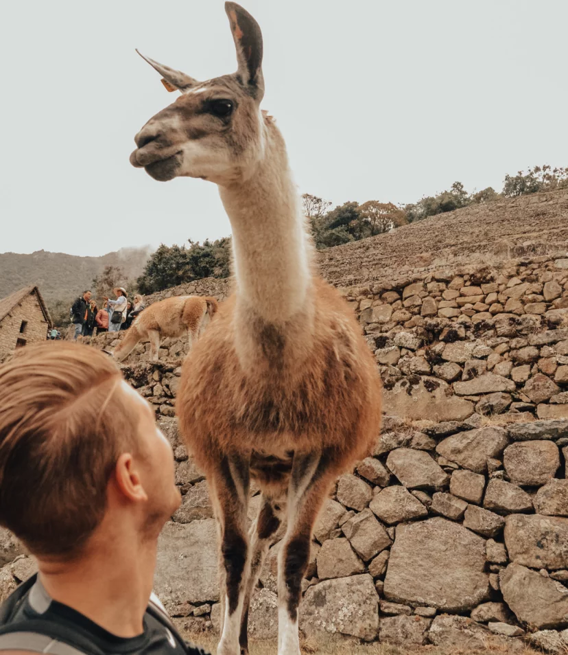 Alle informatie voor je rondreis door Peru - Reiskick