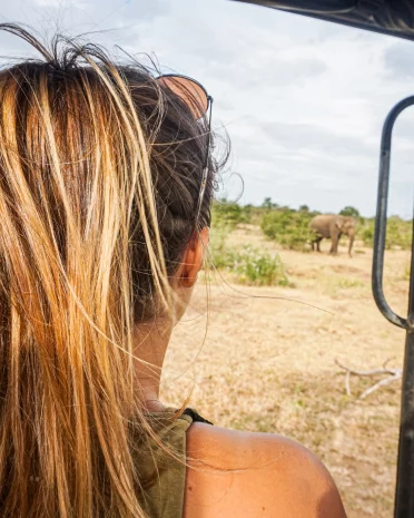 Informatie Udawalawe Nationaal Park Safari & transit home
