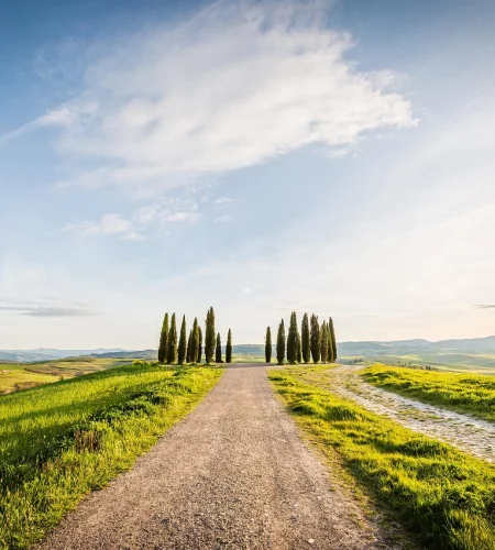 Toscane wegen - Reiskick