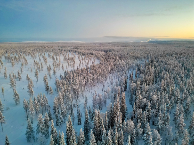 IJsland droneshot landschap - Reiskick