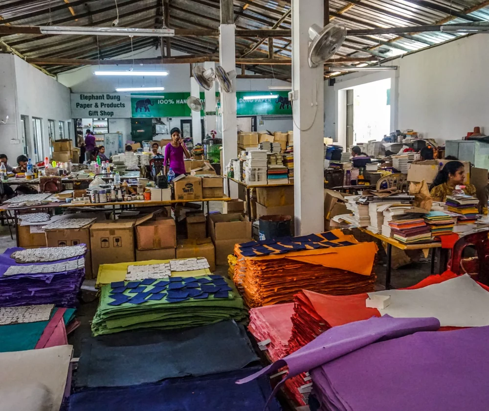 Is Millennium Elephant Foundation een aanrader in Sri Lanka? - Reiskick